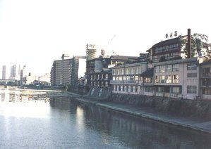 温泉街(宝塚第一ホテル・ホテル若水)