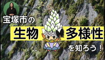 令和4年11月号