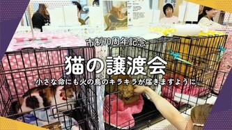 るーみゅーはっぴねすの活動動画のリンク（外部リンク・新しいウインドウで開きます）