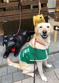 身体障害者補助犬シンポジウム