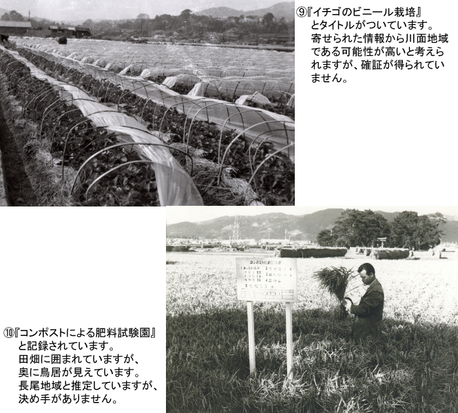 情報を求む写真（9）（10）