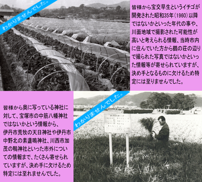 結果写真（9）（10）