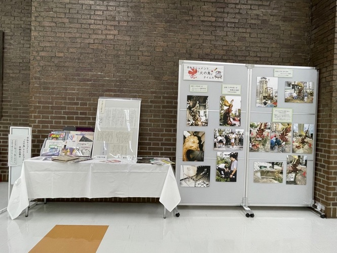 展示の様子