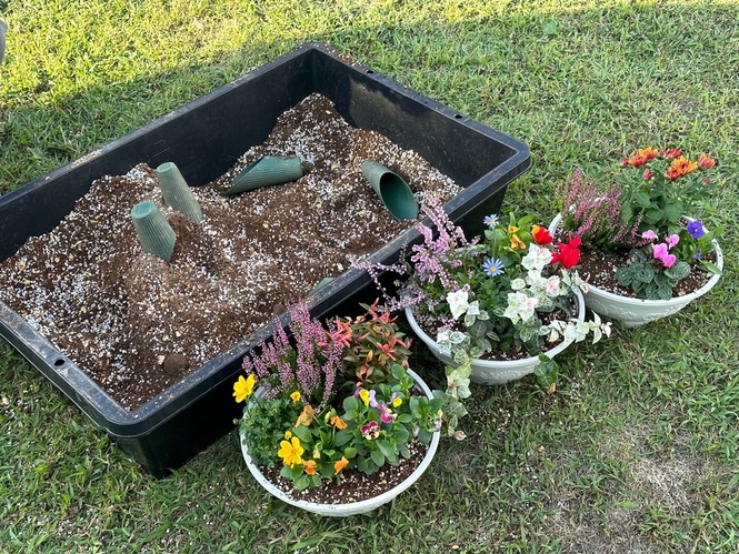 参加者作成の寄せ植え鉢